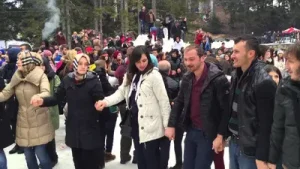 2015 Ayder Yaylası Hemşin Yaylalarına Albüm Kapağı