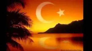 24 Şehide Yapılan Rap Albüm Kapağı