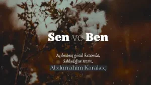 Abdurrahim Karakoç Sen Ve Ben Albüm Kapağı