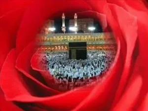Abdurrahman Önül Arafat Dağı Albüm Kapağı