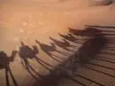Abdurrahman Önül Aşk Meydanında