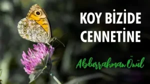 Abdurrahman Önül Koy Beni De Cennetine Albüm Kapağı