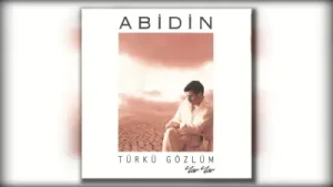 Abidin Biter Dön Çarkı Devran