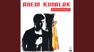 Adem Kodalak Ne Yazar