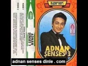 Adnan Şenses Süremedim Bir Gün Sefa Albüm Kapağı