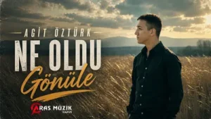 Ağıt Öztürk Ne Oldu Gönüle 2021 Albüm Kapağı
