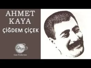 Ahmet Kaya Çiğdem Çiçek Albüm Kapağı