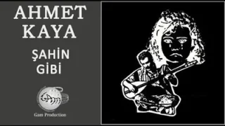 Ahmet Kaya Şahin Gibi