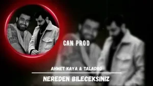 Ahmet Kaya Taladro Nerden Bileceksiniz Mix Yeni 2021 Albüm Kapağı