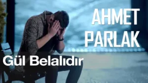 Ahmet Parlak Gül Belalıdır Albüm Kapağı