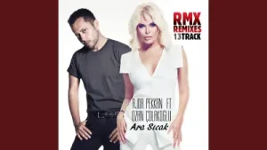 Ajda Pekkan Ara Sıcak Seçkin Özer Remix Albüm Kapağı