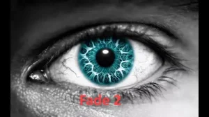 Alan Walker Fade Telefon Zil Sesi Süper Albüm Kapağı