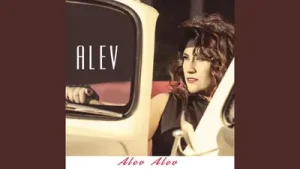 Alev Akıllıoğlu Alev Alev Albüm Kapağı