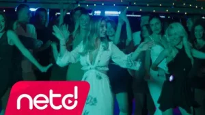 Aleyna Dalveren Yürü Anca Gidersin Albüm Kapağı