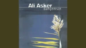 Ali Asker Kadir Mevlam
