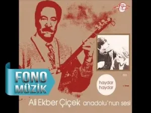 Ali Ekber Çiçek Derdim Çoktur Hangisine Yanayım Albüm Kapağı