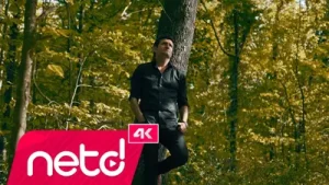 Ali Gürsoy Bilsin İsterim Albüm Kapağı