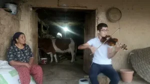 Ali İnsan Hasretinle Yandı Gönlüm Albüm Kapağı