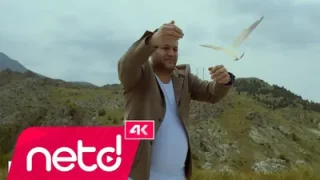 Ali Kaya Alkan Mapusun İçinde Üç Ağaç İncir