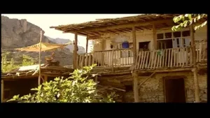 Ali Nurşani Vicdansız Albüm Kapağı