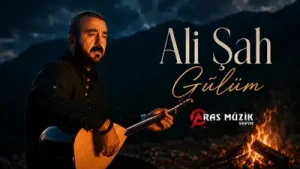 Ali Şah Gülüm Ey Benim Vakitsiz Çekip Gidenim Albüm Kapağı