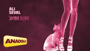 Ali Seval Neşem Yok Albüm Kapağı