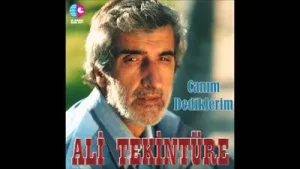 Ali Tekintüre Bilsin