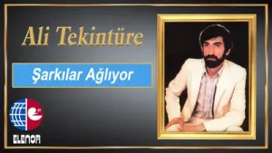 Ali Tekintüre Ölesim Geldi Albüm Kapağı