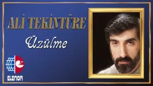 Ali Tekintüre Şimdiki Aklım Olsa Albüm Kapağı