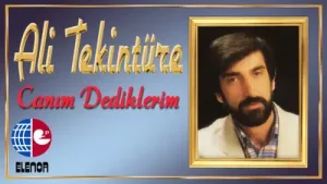 Ali Tekintüre Topraktan Bedene Albüm Kapağı