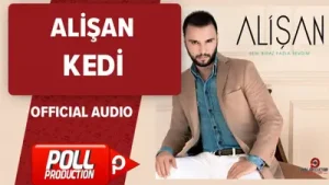 Alişan Kedi