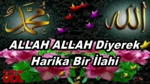 Allah Allah Diyerek En Çok Sevilen İlahiler Bir Arada