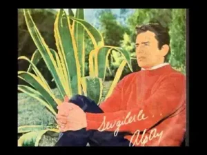 Alpay Resim Albüm Kapağı
