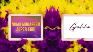 Alper Eğri Kalbime Gömerim Remixe Dönerim Albüm Kapağı