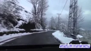 Alper Zoroğlu Ahu Gözlüm Bir Yar Sevdim Albüm Kapağı