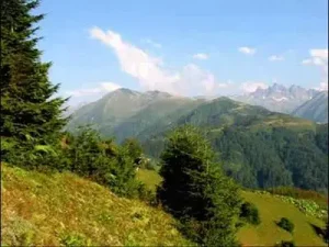 Altan Civelek Karaduman Albüm Kapağı