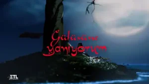 Amo988 Taladro Gülüşüne Yanıyorum Albüm Kapağı