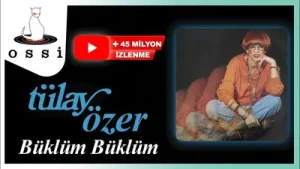 Anadolu 70’ler Tülay Özer Büklüm Büklüm Albüm Kapağı