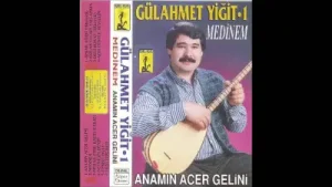 Anamın Acer Gelini Albüm Kapağı