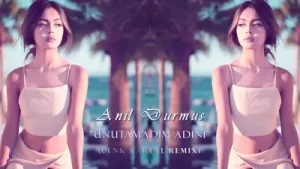 Anıl Durmuş Unutamadım Adını Remix Albüm Kapağı