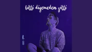 Anıl Emre Daldal Bitti Diyemeden Gitti Albüm Kapağı