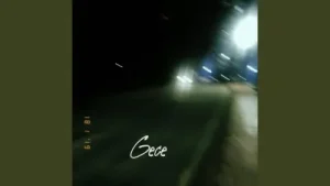 Anıl Emre Daldal Gece