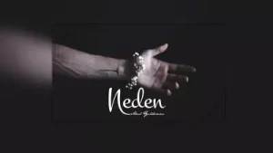 Anıl Yıldırım Sebebim Albüm Kapağı