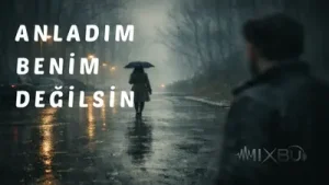 Anladım Benim Değilsin Albüm Kapağı