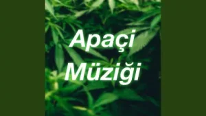 Apachi Şarkısı Albüm Kapağı