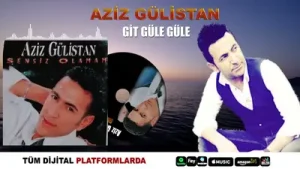 Arabesk Ve Fantezi Müziğin Özenle Hazırlanmış Karışık Damar Şarkıları 3 Damarsarkılar Arabesk Albüm Kapağı