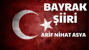Arif Nihat Asya Bayrak Şiiri Albüm Kapağı