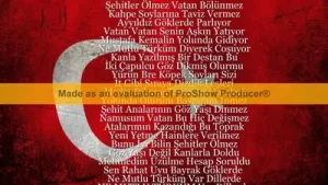 Arsız Bela Herşey Vatan İçin Albüm Kapağı