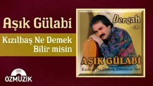 Aşık Gülabi Kızılbaş Albüm Kapağı
