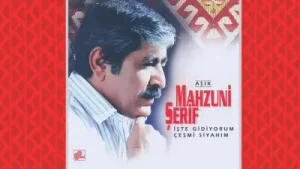 Aşık Mahzuni Şerif İşte Gidiyorum Çeşmi Siyahım Albüm Kapağı